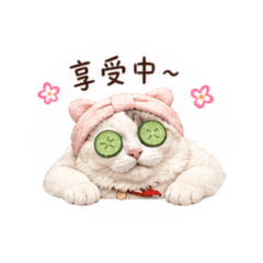 麻吉麻吉❤️