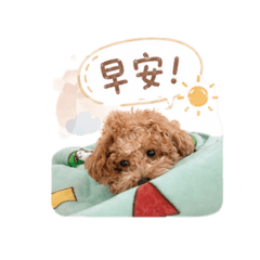 嘎逼～～
