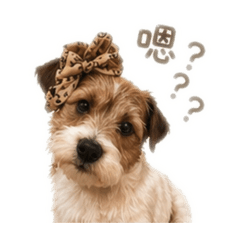 傑克小miu
