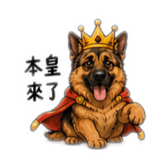 喜樂駕到！