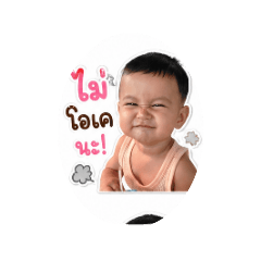 Niphaphon_20260428120314