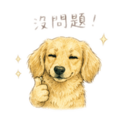艾芝芝