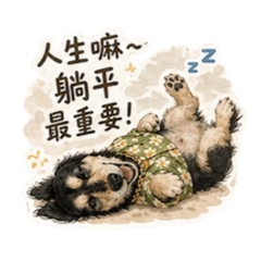 四目臘腸狗 阿豬喜8+9風格