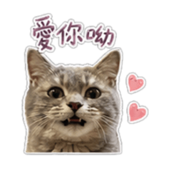 英短踏踏の日常話語