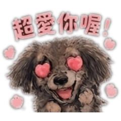 阿嚕寶寶