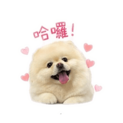許家嘟嘟