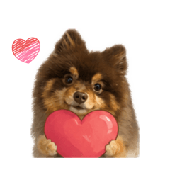 排排❤️P.1