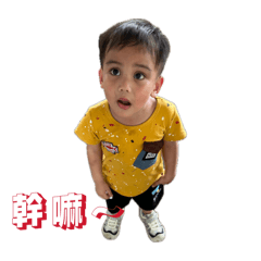 Wuyuci
