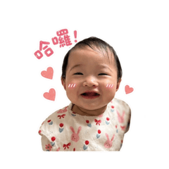 圓圓1號