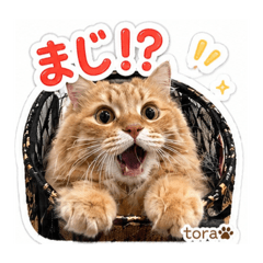 tora's Daily Stickers B