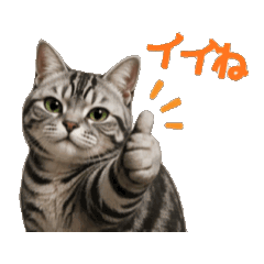 Moving! Dancing Munchkin Cat Stickers