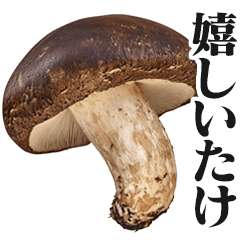 [Very useful] Shiitake mushrooms