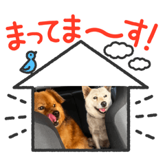 maro_20260503133128