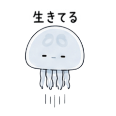 yurakura_20260503133147
