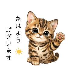 Everyday Bengal Kitten