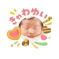 snk0198_20260503133534