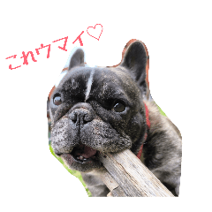 Hana&Friends@