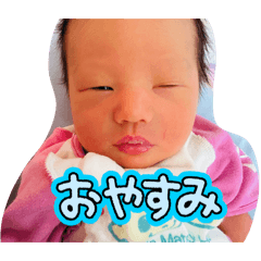 ayakadon_20260503142847