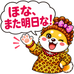 Nana the Shiba Girl: Osaka Auntie Vol.2