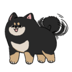 Everyday Black Shiba Inu Stickers