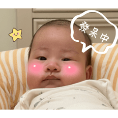 CC的賣萌生活2