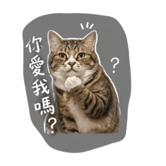 牛泡芙的貼圖