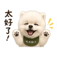 肉肉殺手博美犬 日常生活篇