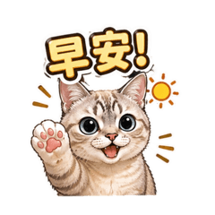 我家喵喵（文字清楚版）
