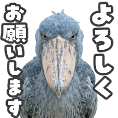 Moving Shoebill Sticker2