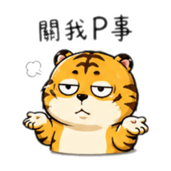 Tiger_20260428