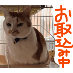Yuka_20260430132028