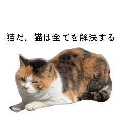 Vollussy_20260503144158