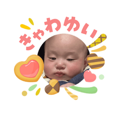 moco_20260503144901