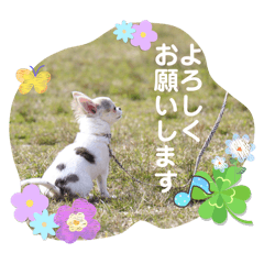Sugimoto_20260503144536
