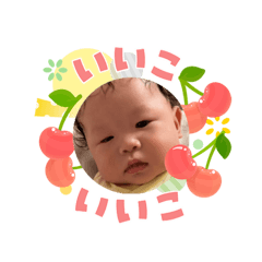 toto_20260503145731
