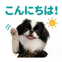 Memika_20260503145638