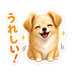 Fluffy Chiweenie Everyday Stickers