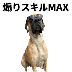 毒舌技能MAX 大丹犬 - AG