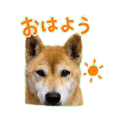 Chacha no stamp 1
