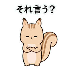 Dry Squirrel Stickers 2