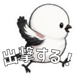 Unique Shimaenaga Reactions