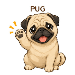 Wrinkly Pug Daily Stickers