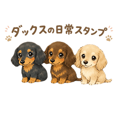 Soft & Fluffy Dog(Miniature Dachshund)