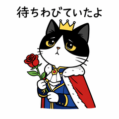 Prince Hachiware Cat