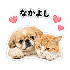 Mellow Pup & Salty Cat - 32 Daily