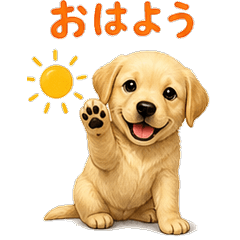 Golden Retriever Daily 24