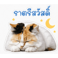 rainy_20260428120444