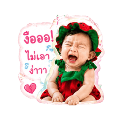 NICHA-NUCH_20260428120759