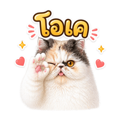 Thecat3_20260428120702