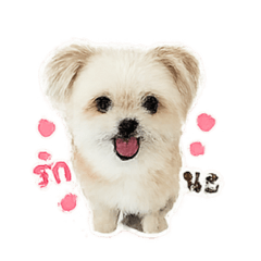 Baby love_20260428121018